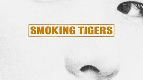 Smoking Tigers