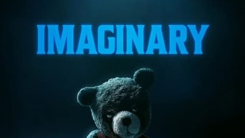 Imaginary