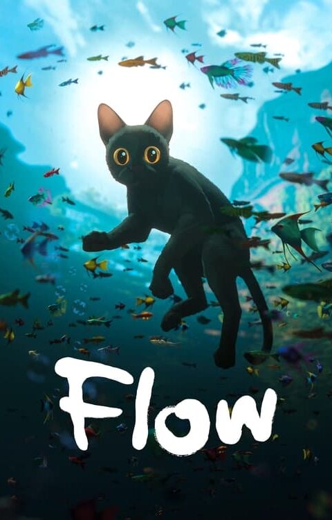 Flow